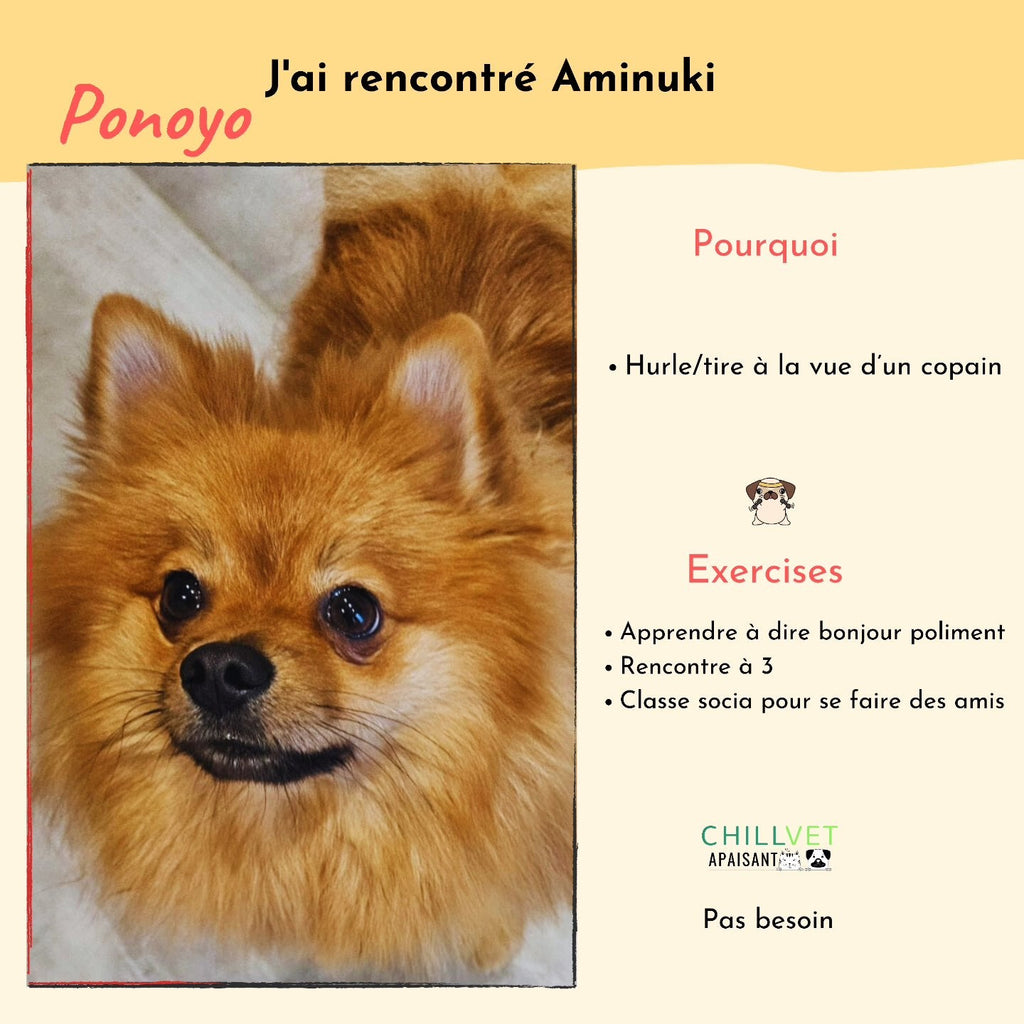 Ponoyo, un peu TROP content de voir des copain - Aminuki